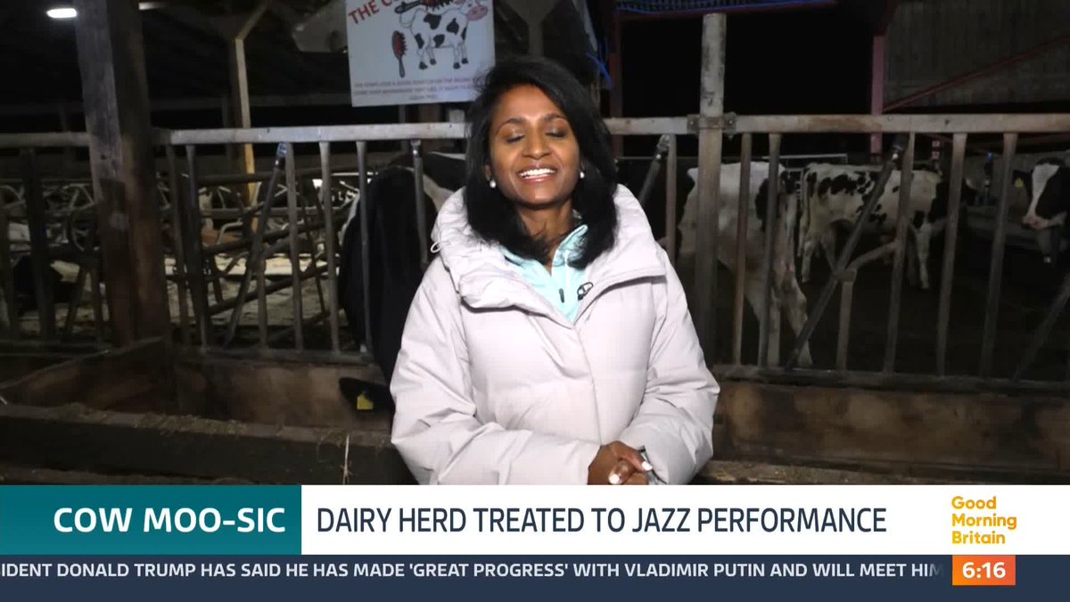 A farmer in Bolton says she's treating her herd of dairy cows to live jazz performances in a bid to boost milk production. Researchers say a little rhythm and blues can increase yields by up to four per cent. @nityagrajan has gone to see this method in action.