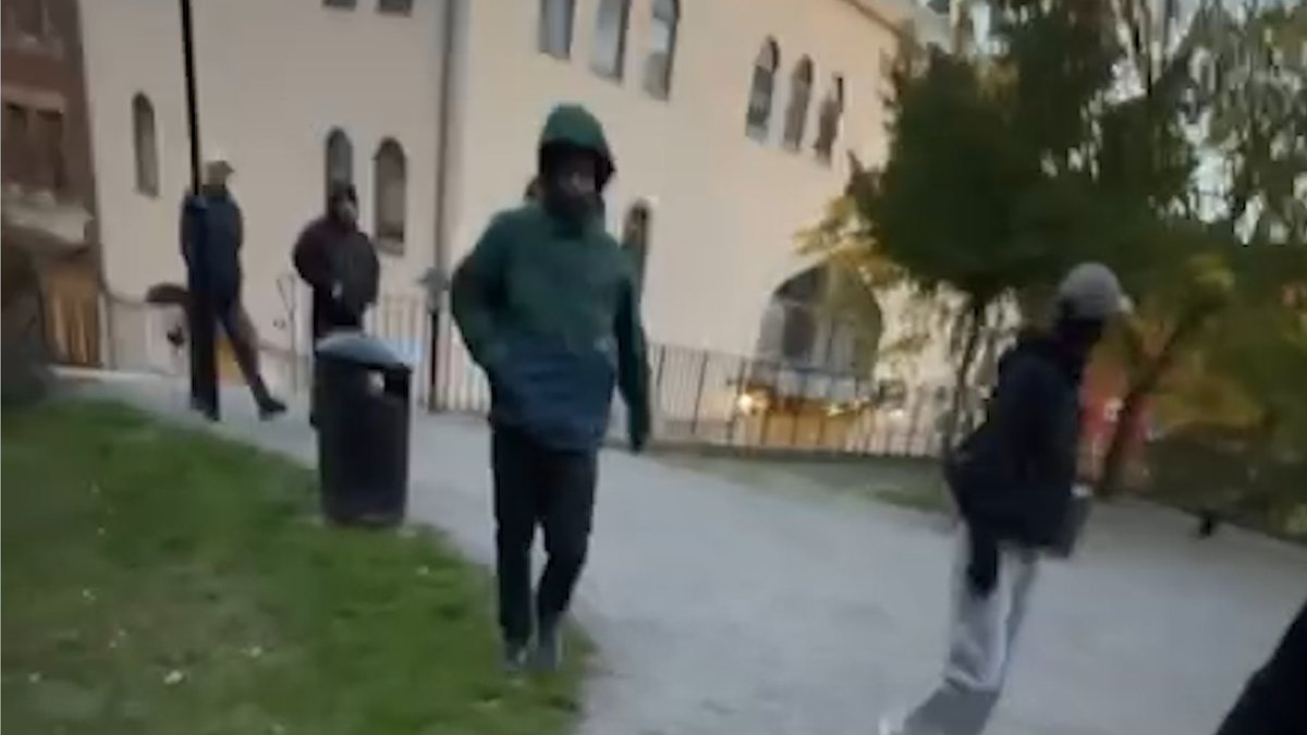 A 17-year-old Swedish YouTuber was just violently attacked in broad daylight by an Antifa mob in central Stockholm. Leading the attack was Joel Bjurströmer Almgren, a convicted far-left terrorist who gained national attention after being sentenced for attempted murder. Since then, he has built a criminal record that includes violent assaults, illegal weapons possession, and threats against public officials. One of his accomplices, Hjalmar Hagström, pepper-sprayed the teenager in the face before the mob chased Lulle through the streets. The victim managed to escape into a café, where he waited for police protection. Also present was Emma Hagberg, Almgren’s wife and a long-time Antifa militant. During a previous criminal investigation, police discovered Antifa doxxing posters and far-left propaganda in her basement storage unit. No legacy media outlet has reported on this politically motivated assault on a defenseless teenager. Ask yourself why. 🔗 Read more about the the militants present at the assault: