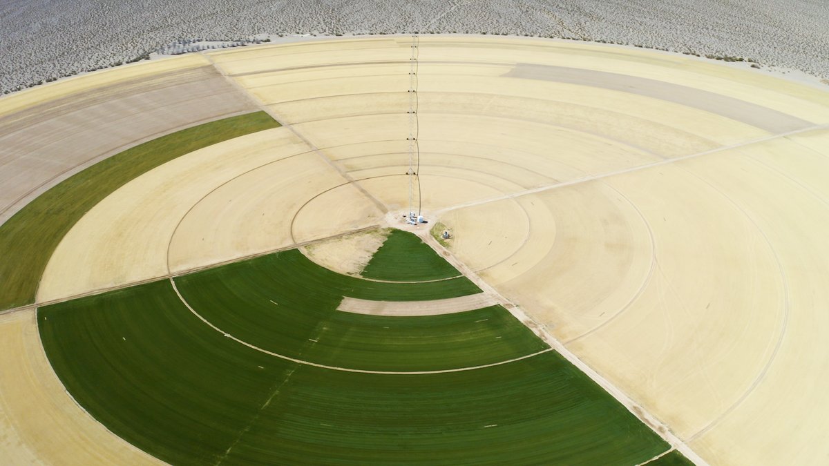 Grass is the most wasteful crop in the US. Should we ban It?