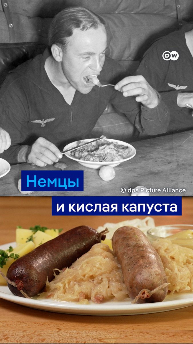 Немцы обожают квашеную капусту, хотя это блюдо и считается немного старомодным… В немецком Дитмаршене выращивают больше всего кочанов в Европе, а еще здесь есть музей кислой капусты. Просто посмотрите! #dweuromaxx