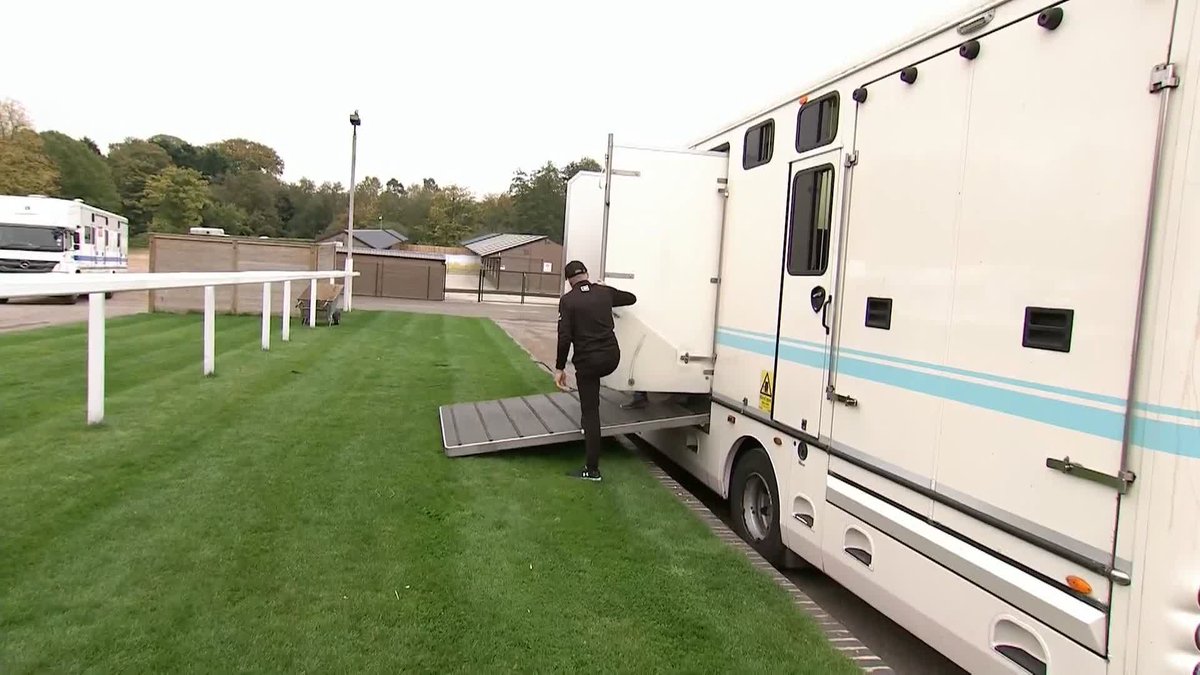 FIELD OF GOLD HAS ARRIVED AT ASCOT!! TIME TO SHINE YOU BIG BEAUTIFUL GREY MACHINE!! 😍😍😍