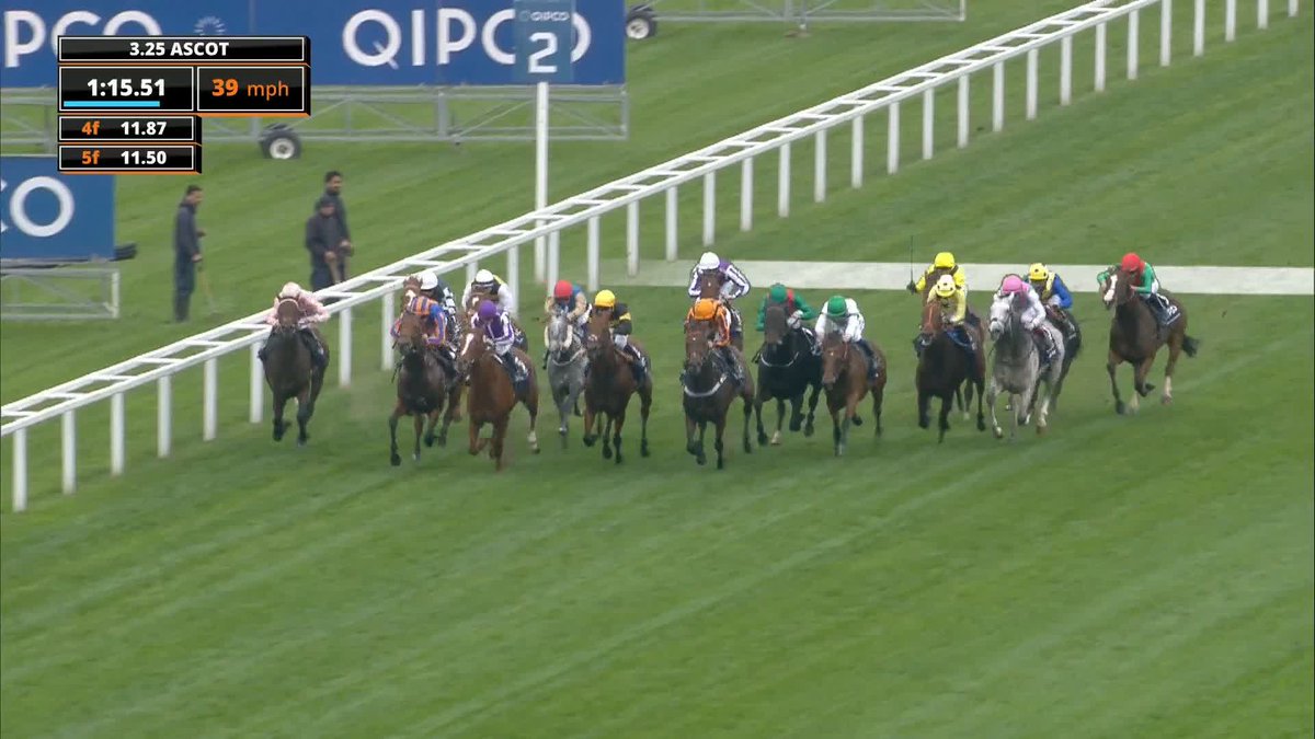 Describe the Queen Elizabeth Stakes in under three words boys? 🤮🤮🤮