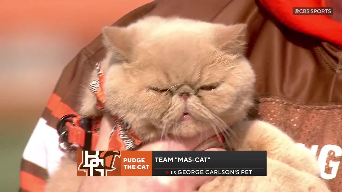 MORE PUDGE PLEASE TEAM MAS-CAT