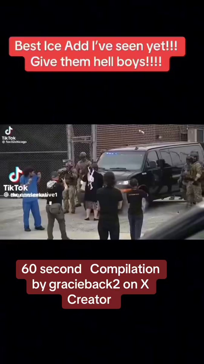 ICE takedown Compilation. Is this what you voted for? I sure did.
