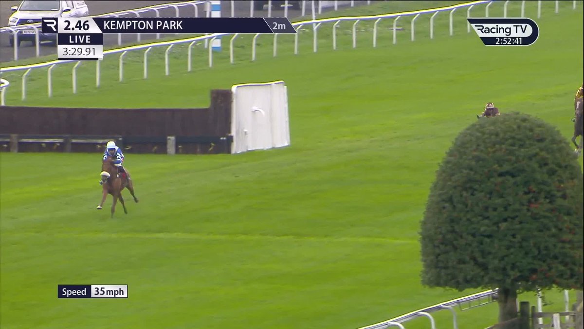 ONE HORSE RACE ⚡️ One Horse Town remains unbeaten after three starts for Harry Derham. Kempton Park Racecourse