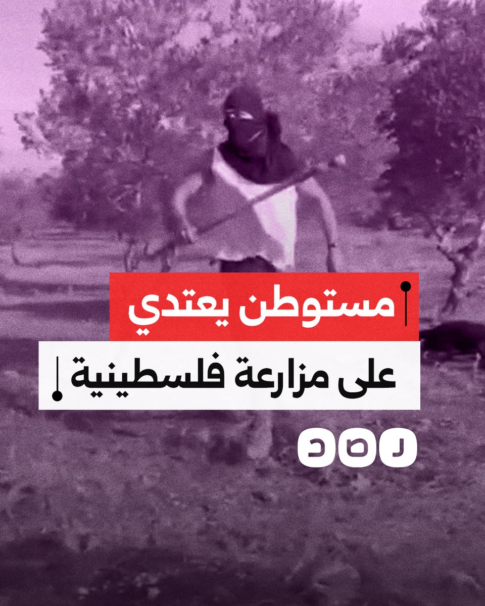 ناشط أميركي يوثق اعتداء مستوطن على مزارعة فلسطينية وعدد من النشطاء في رام الله