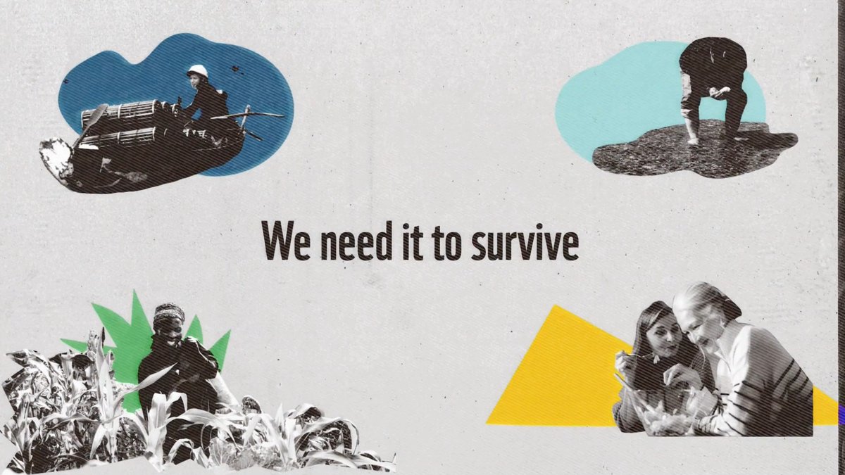 Nature provides us with so much – including the food we eat &amp; love. 🍓 But the way we produce, consume &amp; waste food is harming our planet. The #GoodNews? We still have time to reverse nature loss. It starts on our plates.
