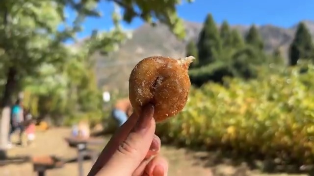 These apple cider mini donuts just redefined fall for me. I didn’t know they could taste this good