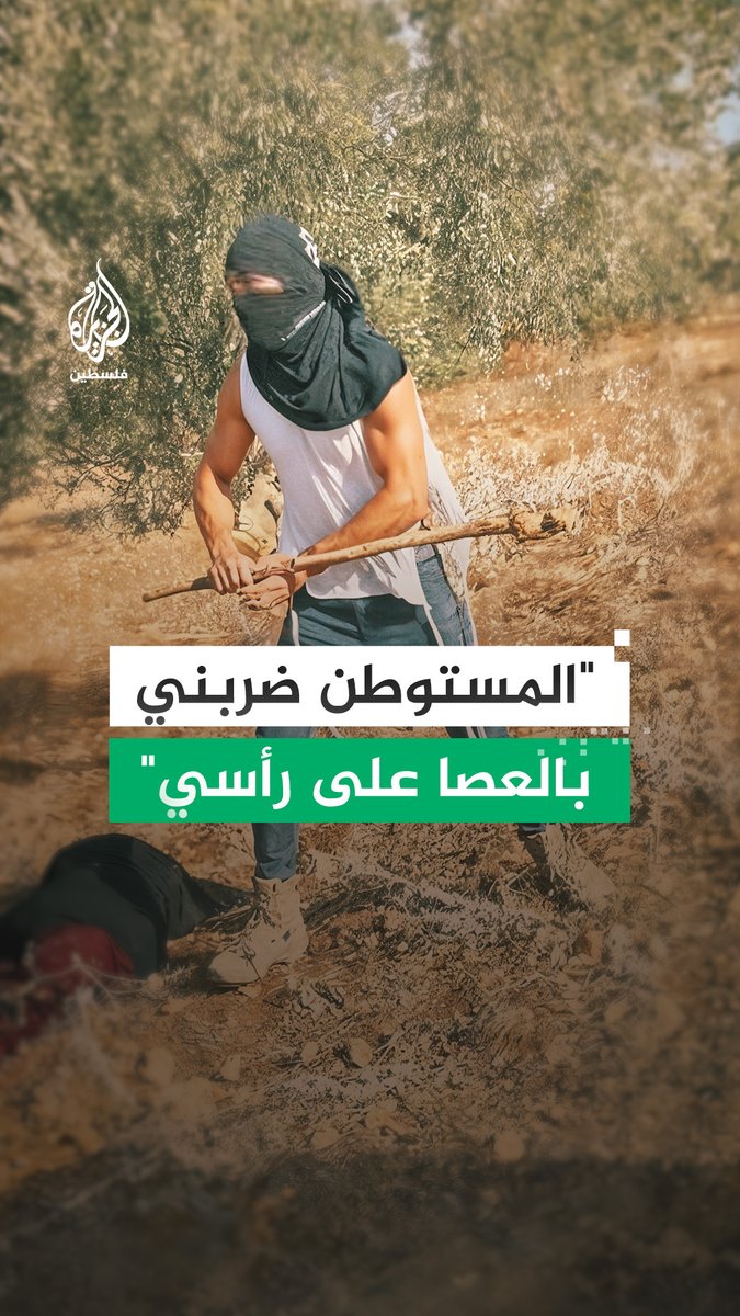 مستوطن إسرائيلي يعتدي على سيدة فلسطينية أثناء قطفها الزيتون شرق مدينة رام الله