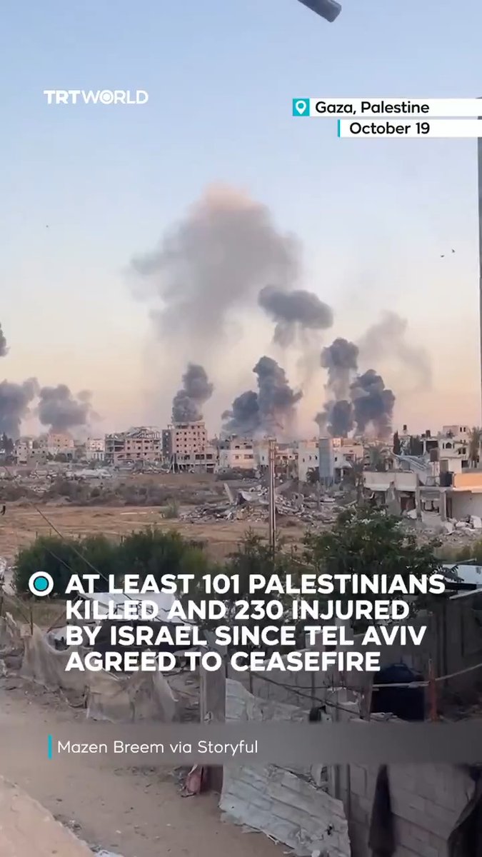 The Israeli army killed four Palestinians on Monday, a medical source said, bringing the total number of Palestinians killed in Gaza since the US-brokered ceasefire to 101. In just 10 days, more than 230 others have been injured amid repeated Israeli violations of the truce