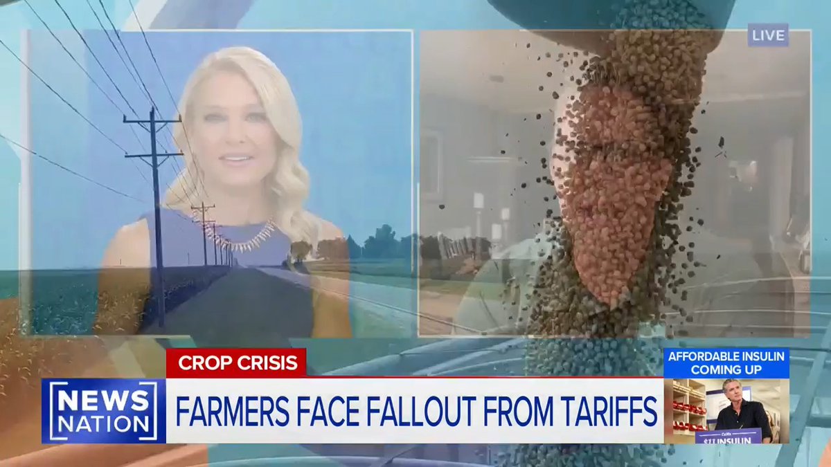 Soybean farmer: Unfortunately we've had stagnant prices on soybeans, which made it difficult to break even. We are selling well below the cost of production. With China being a huge importer of soybeans, 20-25% of what we produce, that's very difficult to replace that in a quick fashion.