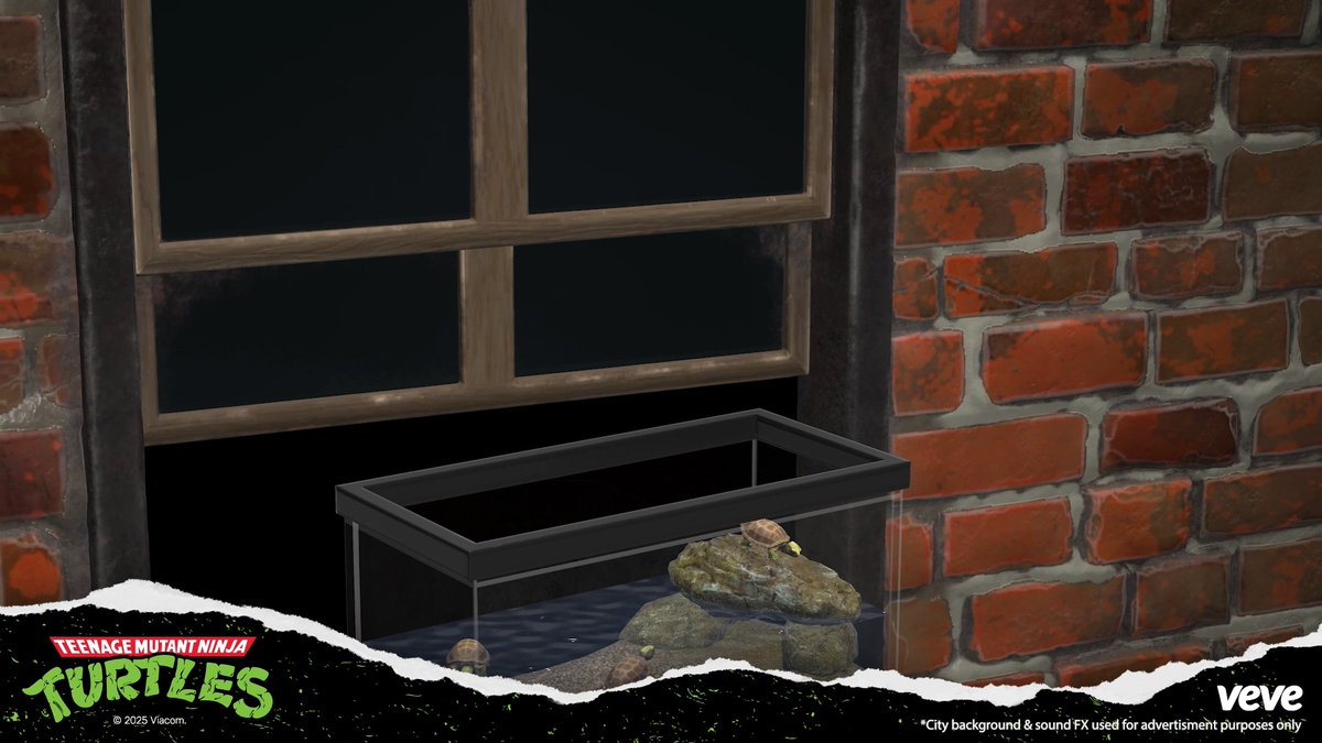 Cowabunga! 🐢 The TMNT have landed on VeVe for the first time ever! Start your collection with the Born Below Diorama - a nostalgic tribute to their origin story beneath New York. With silver and gold variants, each packed with hidden details, glowing energy, and the original TMNT theme 🎵Only 87 secret rares! Check out the drop here: More Turtle drops are coming… 🥷🍕 Leonardo, Donatello, Michelangelo, and Raphael will join the fight soon. #TMNT #VeVe TMNT