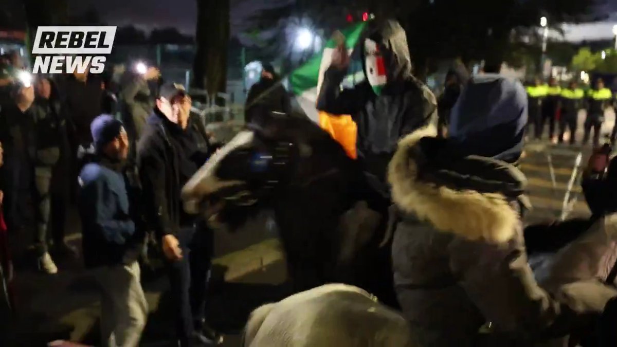 Irish patriots on horseback with screams of "this is OUR land" as thousands hit the streets of Dublin following a sex attack on a 10yr old child by an invader!