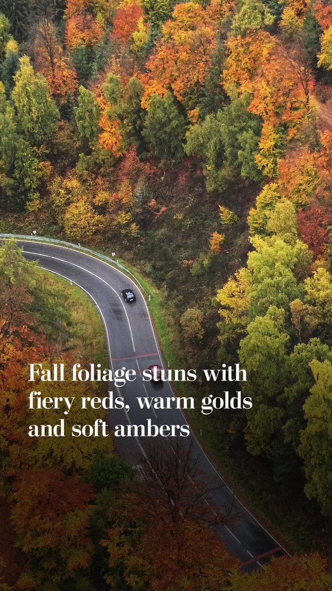Fall lovers, assemble! The Northeast and other mountainous regions have begun to see the vibrant colors autumn has to offer. See where foliage is peaking with our map:
