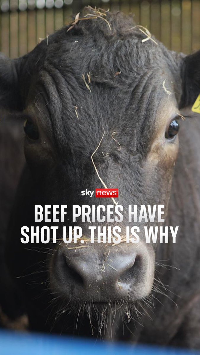 Inflation is rising across the board, but the price of beef is climbing faster than most - up by about 25%.⁠ ⁠ Sky's Paul Kelso explains why the price of beef has been climbing, and whether it will ease off anytime soon.⁠