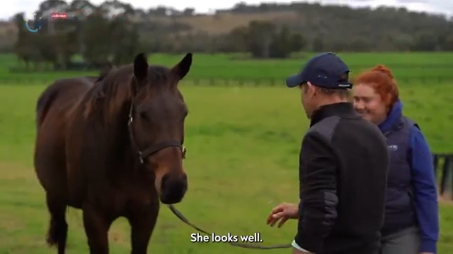 The Queen Of The Valley The greatest we have ever seen. Winx’s legendary 4 W.S. Cox Plates are etched into equine utopia. Before the final Cox Plate on this current track, a special visit was paid to the mightiest of mares Ⓜ️ Winx (Official)Ⓜ️Ⓜ️Ⓜ️Ⓜ️ #LEGENDARY #CoxPlate