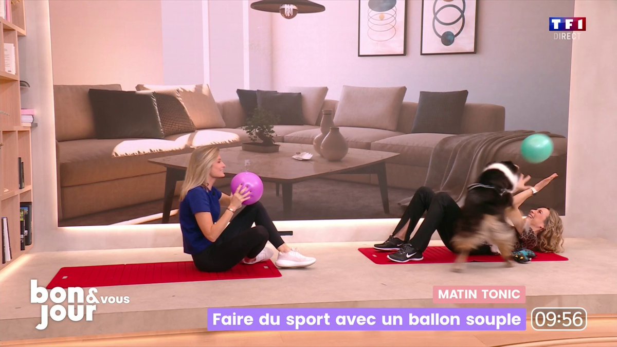 😭 "Madame", la chienne de Christophe Beaugrand-Gerin perturbe la séance de sport de SandrineArcizet #BonjourLaMatinaleTF1 ⤵