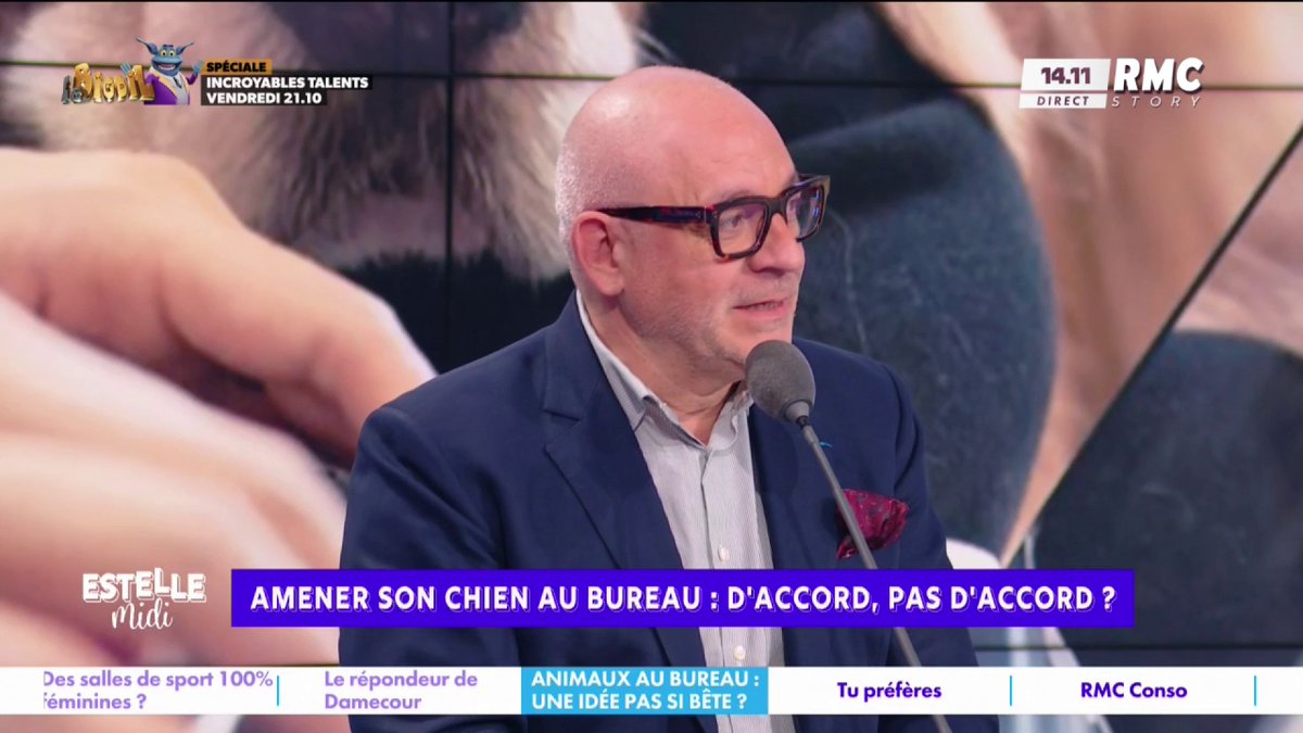 🐕 Amener son chien au bureau 🎙️ frédéric hermel🇫🇷 : "C'est une réflexion de citadin de parler de chien au bureau... Dans ce cas-là, si mon plaisir c'est de faire du surf, je viens avec ma planche ?! Si chacun ramène sa maison au bureau, on va vite avoir un problème !" #EstelleMidi