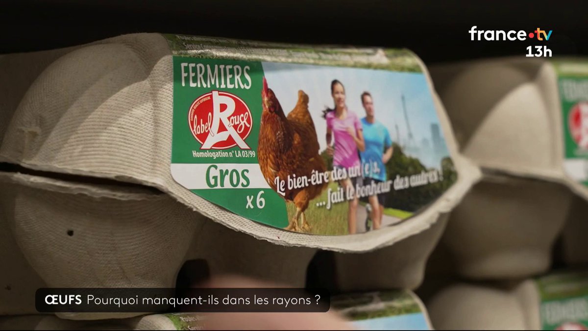 Il devient de plus en plus difficile de trouver des œufs en supermarché. Source de protéines à prix abordable, on en consomme en moyenne 230 par personne et par an. La filière peine à suivre. Faut-il craindre une pénurie ? #JT13H