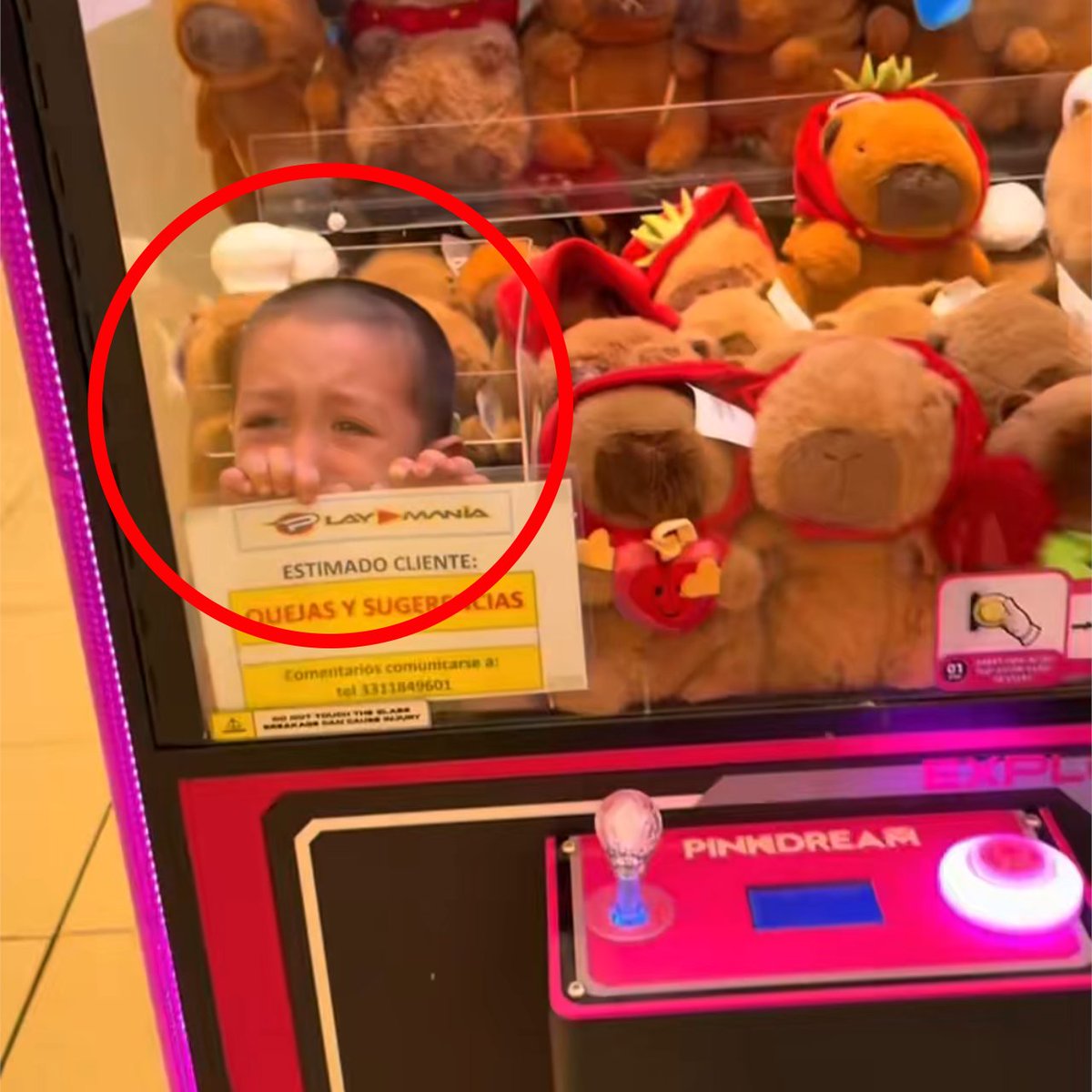 🇲🇽 | Un niño quedó atrapado dentro de una máquina de peluches en un centro comercial de Guadalajara, Jalisco, México. El menor fue rescatado posteriormente.