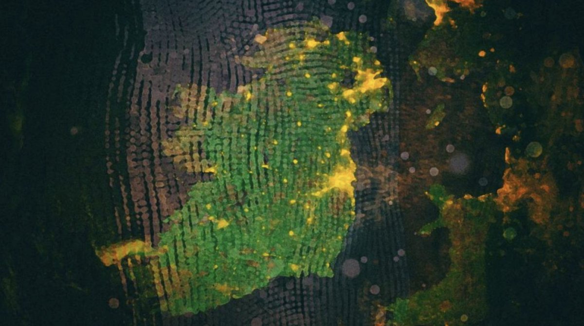 SPECIAL REPORT: IRELAND ON THE BRINK OF COLLAPSE Over half a million souls have poured across Ireland’s borders since 2008 alone. This is the WEF agenda for many other countries. » ɢᴇᴛ ᴛʜᴇ ɴᴇᴡ ᴀᴘᴘ!