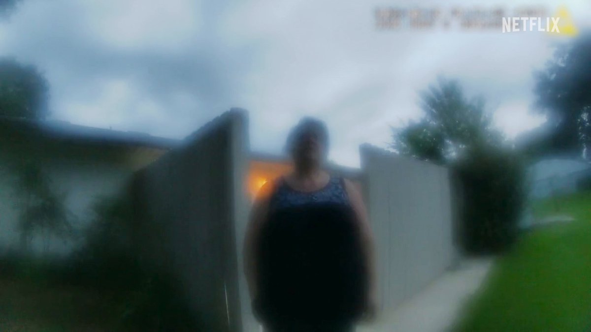 In The Perfect Neighbor, real body camera footage reveals how one woman made sinister use of 911 calls to target a community.