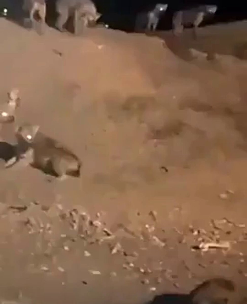When the hunters start running, you know you’re different