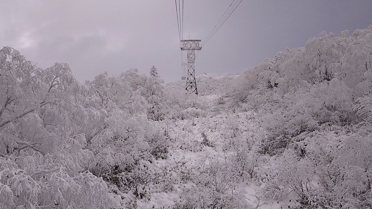 車窓からの景色に感動です！❄️ #旭岳ロープウェイ #大雪山旭岳