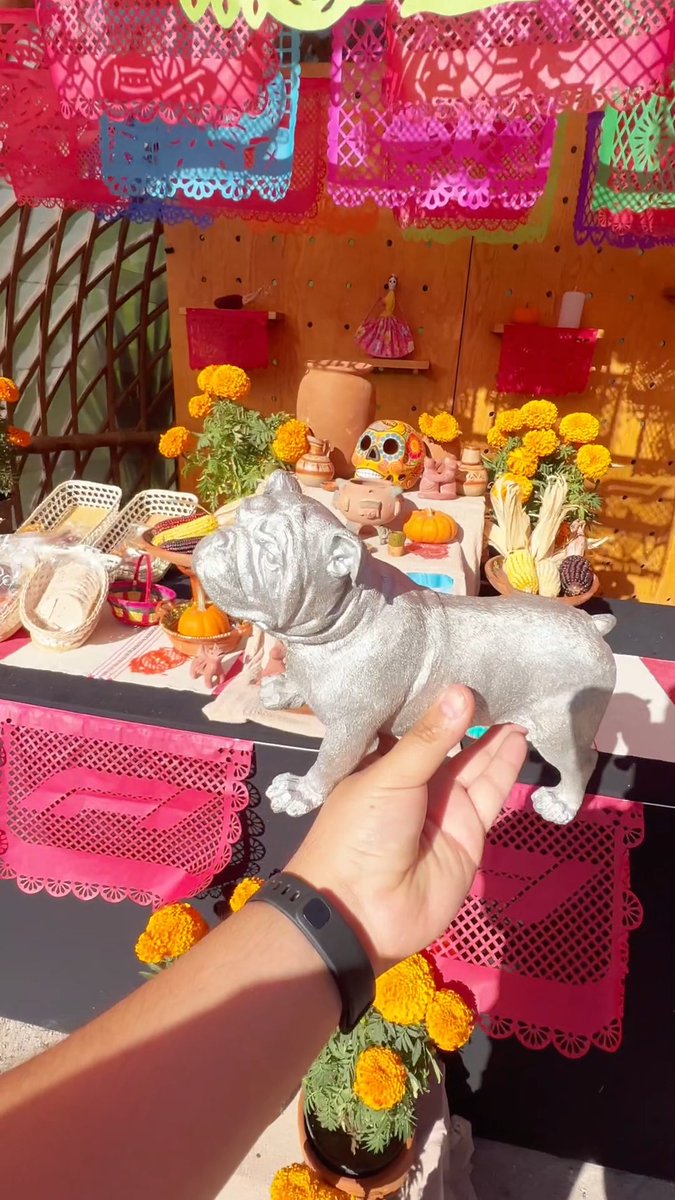 Con cariño, para Roscoe. ❤️ 🐶 El recuerdo del mejor amigo de Lewis Hamilton está presente en el #MexicoGP. 🇲🇽 #Formula1 #F1