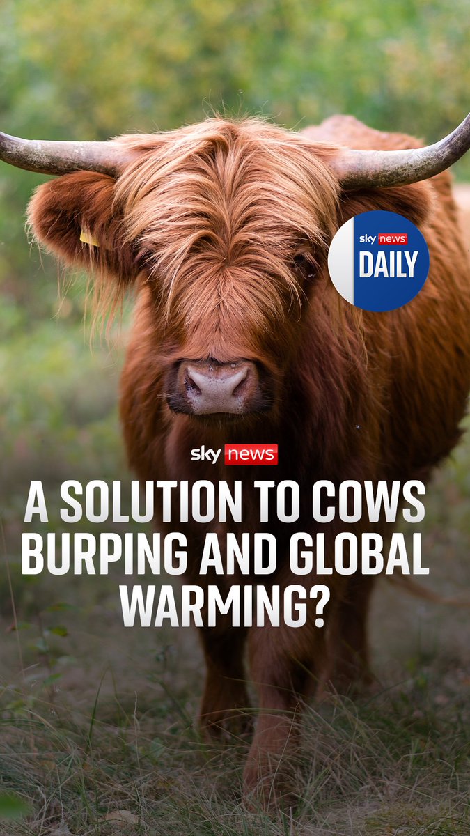 Cows may be our main source of meat and milk, but their burping and breaking wind is having a huge impact on global warming. Niall Paterson and Thomas Moore discuss what can be done to help protect the planet. 🎧 Click the link in our bio to listen