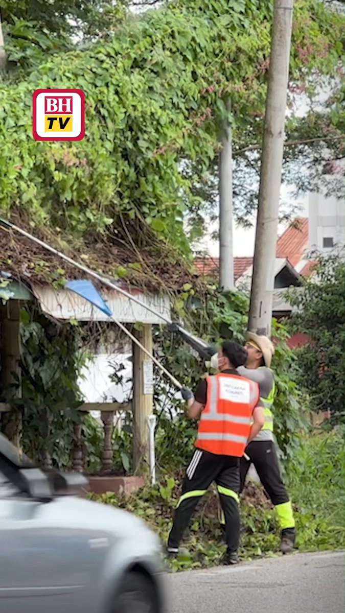 Seorang anak muda berkorban masa dengan melakukan kerja komuniti, termasuk mencuci longkang, memotong rumput di tepi jalan, membuang dahan pokok, mencuci pondok menunggu bas dan membersihkan kaki lima di laluan pejalan kaki di bandar ini untuk memastikan ia selamat dilalui. Berita penuh: