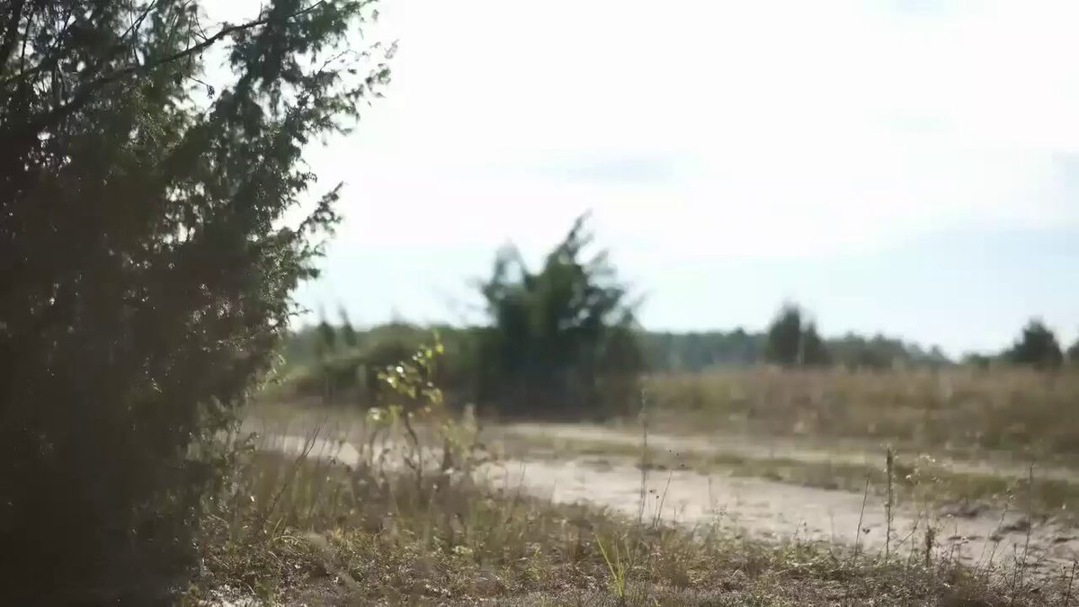 Mobile fire groups are always on duty. Operating 24/7, they hunt down enemy drones and prevent them from reaching their targets. Their precise actions save lives and protect Ukrainian cities. 📹: 61st Mechanized Brigade