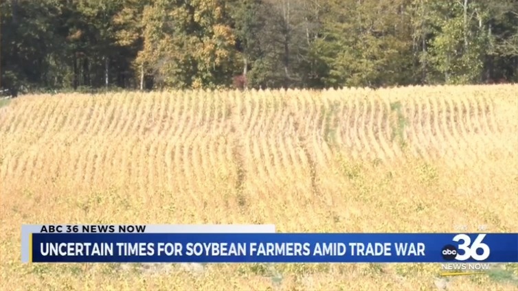 Soybean farmer: There are zero sales of this crop that is now being harvested, and that's alarming for our industry. It's really hard to take your biggest customer and just snap your fingers and replace it. Our farm will lose well over $100,000 on our soybean crop alone this year