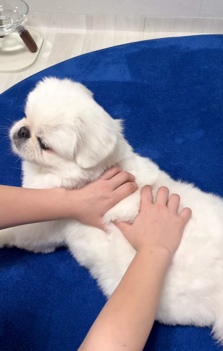 제가 좀 긴장했었나봐요... 다시 한 번 기회를 주실 수 있나요 피드백 반영한 고무짜기 영상 첨부합니다