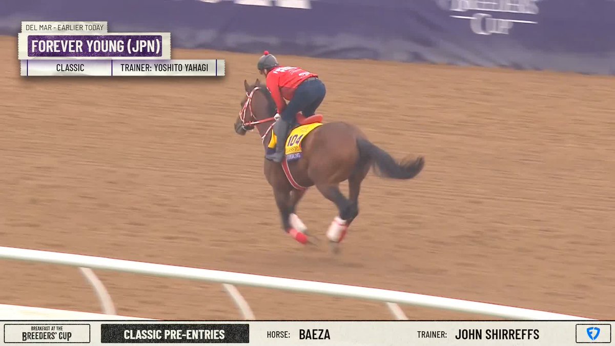 Will Forever Young win the Classic for Japan? 🇯🇵 フォーエバーヤング