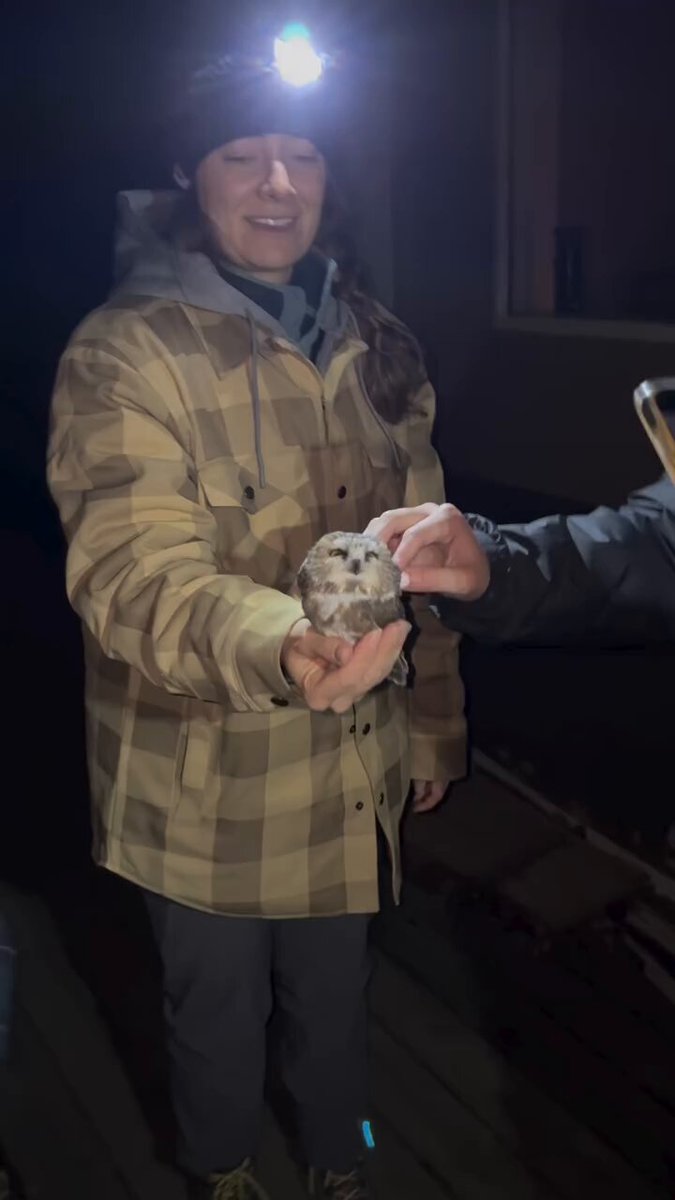Owl loves some scritches..🦉😍