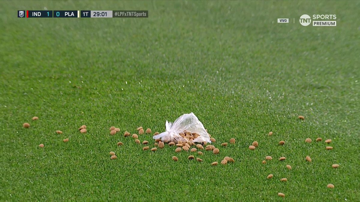 😳🔴 Los hinchas de Independiente tiraron una BOLSA CON ALIMENTO PARA PERROS en pleno partido ante Platense.