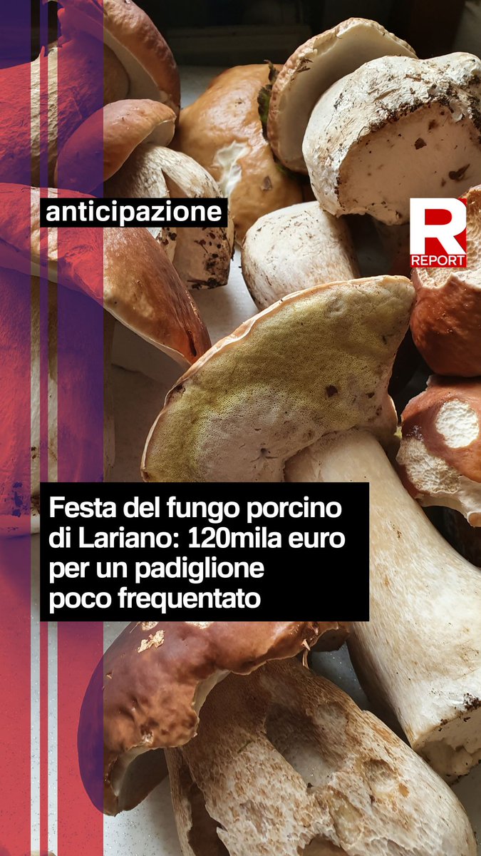 La festa del fungo porcino a Lariano, ai Castelli Romani, per FdI da due anni è un appuntamento irrinunciabile. Quest’anno il ministero di Lollobrigida ha addirittura installato un padiglione al centro della fiera, per cui ha speso 120mila euro. Domenica dalle 20.30 su #Rai3 👇