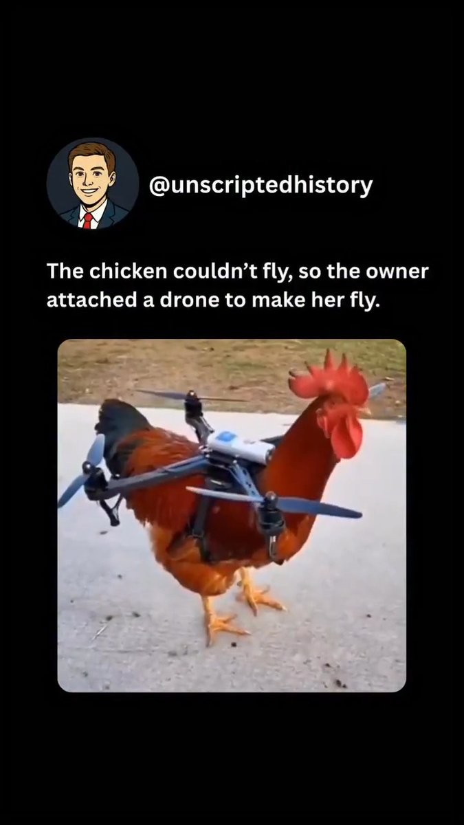 One wrong turn and the chicken loses its head 🤣