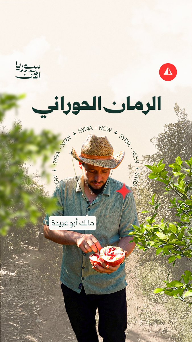 بحلاوته ولونه.. الرمان الحوراني يزين أسواق درعا🌾 تقرير مميز لمالك أبو عبيدة يرصد موسم الرمان بحوران من قلب المزارع