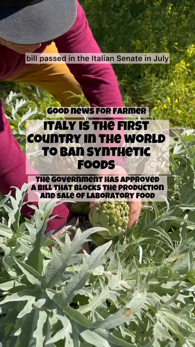Italy has banned the production, sale, and import of synthetic (lab-grown) food. 🇮🇹