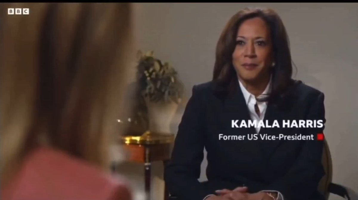 BREAKING: Kamala Harris suggests that she may want for president again. Thoughts?