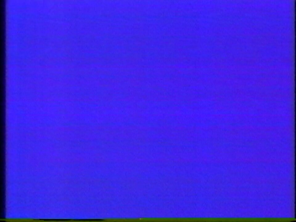 NIPPONアイドル探偵団～キャスティングカタログ～ 1991年 これマジでビデオに録画しないと見切れんかった。 紹介されてるアイドルのキャリアに結構バラツキがあって「え？この人もう有名ジャネ？」と当時の時点でも思った。 今見るとまた違う意味で面白いけど。