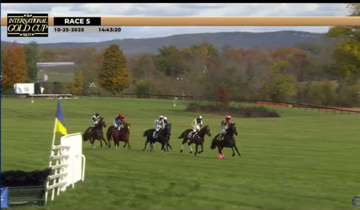 Just when you thought you have seen it all in horse racing! $50,000 The Virginia Gold Cup Key's Discount actually gets up to beat Uco Valley! #JumpRacing