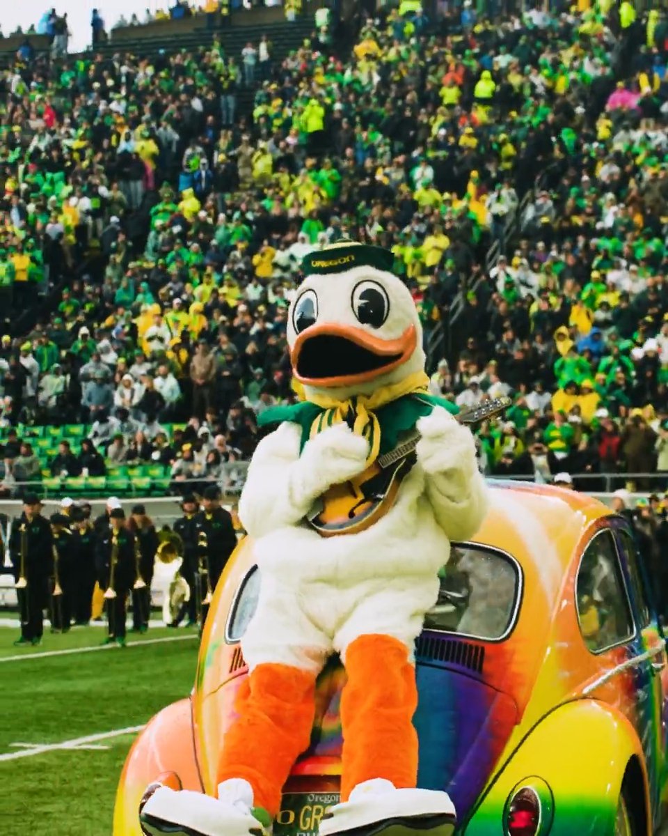 Grateful to be a Duck. #GratefulDucks