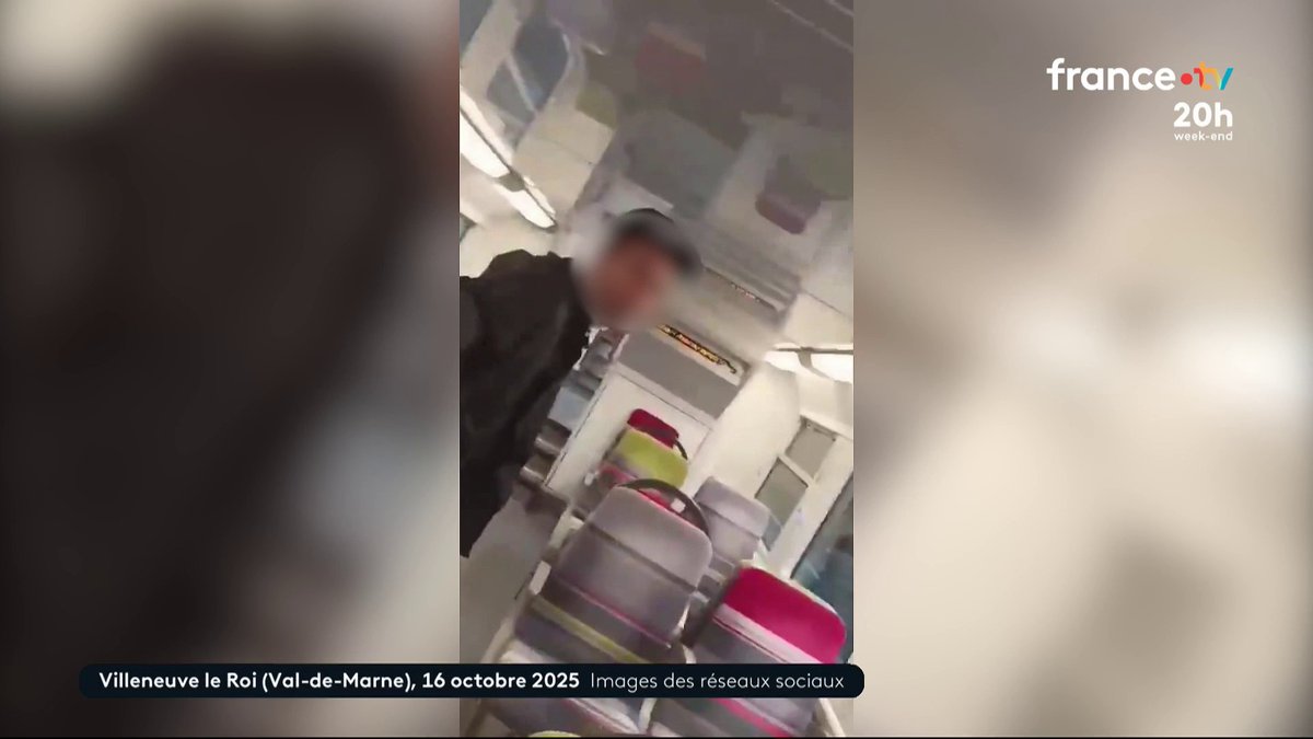 Alertée par les cris d’une jeune femme, une passagère a fait fuir l'agresseur en le filmant avec son téléphone portable. Elle témoigne pour France Télévisions, au lendemain de l’arrestation d'un suspect. #JT20H