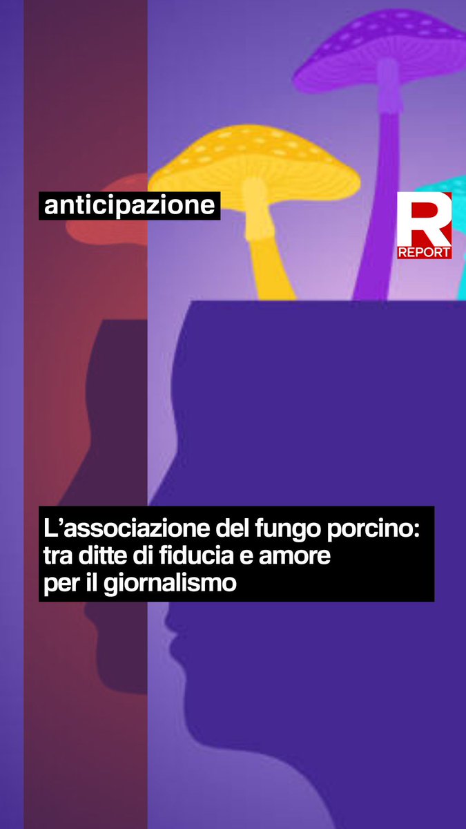 Il presidente dell’associazione fungo porcino dal 2015 è Bruno Abbafati. Sarebbe stata proprio l’associazione a portare la sconosciuta Evolution Trade alla gestione del padiglione del ministero. Ne parliamo alle 20.30 su #Rai3