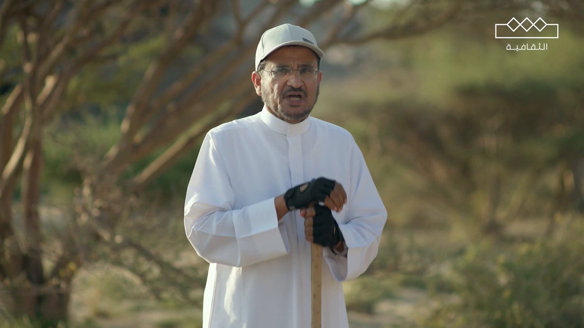 السمر 🌿 من الفصيلة السنفية، شجرة شاكة، منبتها واسع في بعض مناطق المملكة شقائق الخزامى