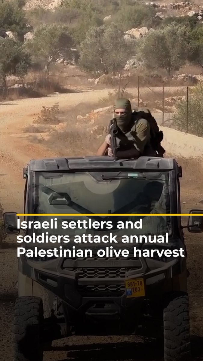 For the second week, Palestinian farmers are being blocked, harassed and arrested as they try to undertake the annual olive harvest on their own lands. Israeli soldier and settler violence in the occupied West Bank has surged since the war on Gaza began in October 2023.