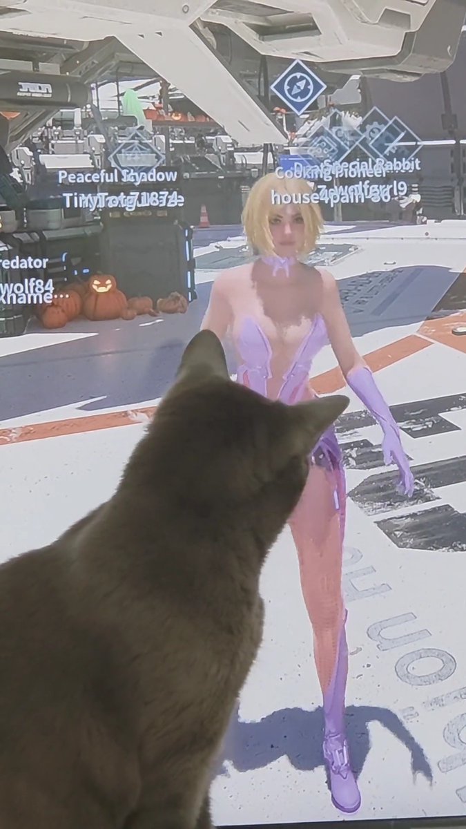I think my cat watches me play this game too much... 🔗 u/sexyelderado